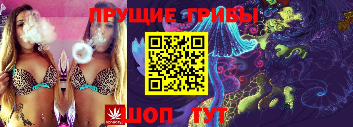 Галлюциногенные грибы Psilocybine cubensis Изобильный